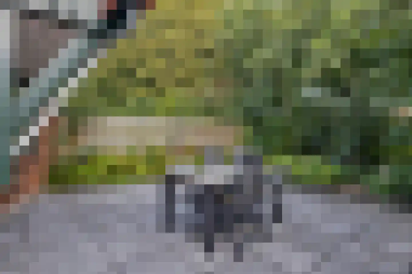 Vijverweg 16 26 Nieuwe Niedorp thumbnail 23