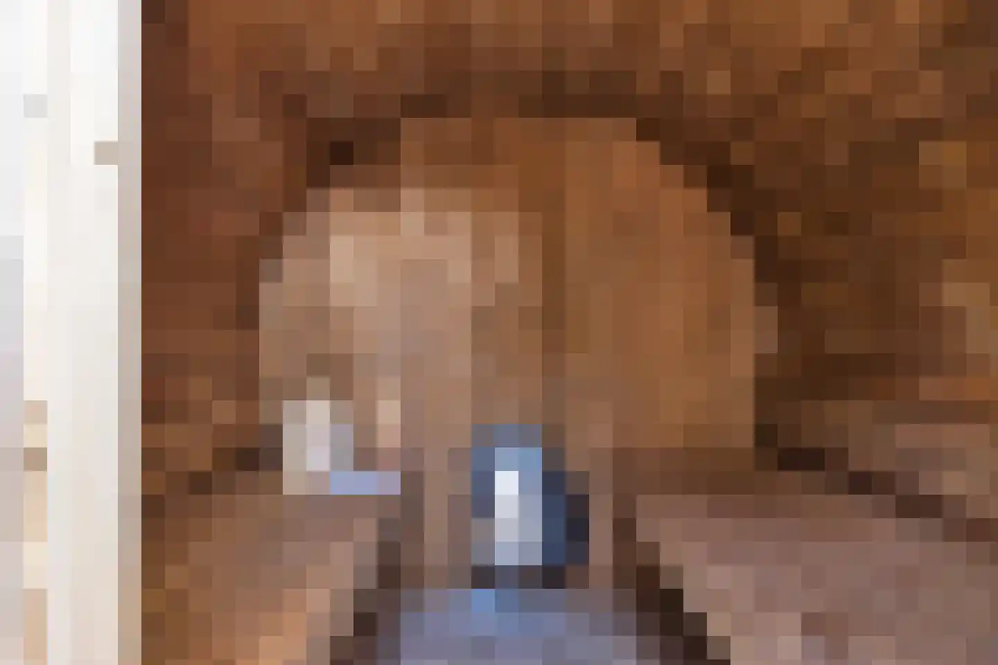 Vijverweg 16 26 Nieuwe Niedorp thumbnail 30