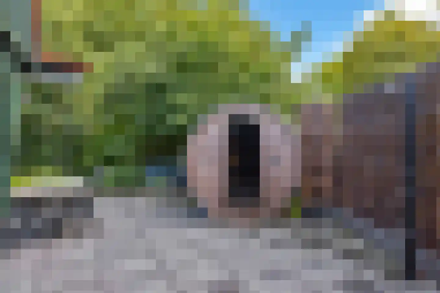 Vijverweg 16 26 Nieuwe Niedorp thumbnail 4