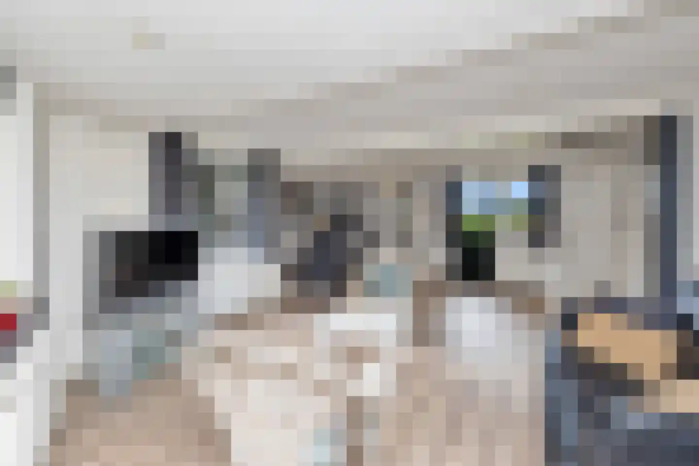 Vijverweg 16 26 Nieuwe Niedorp thumbnail 7