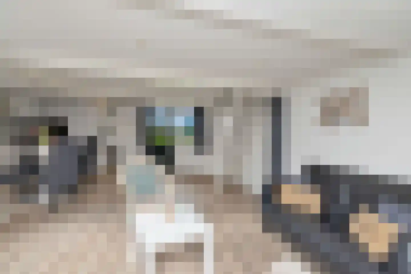 Vijverweg 16 26 Nieuwe Niedorp thumbnail 8