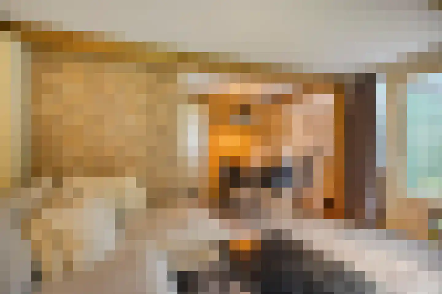Vijverweg 16 51 Nieuwe Niedorp thumbnail 6