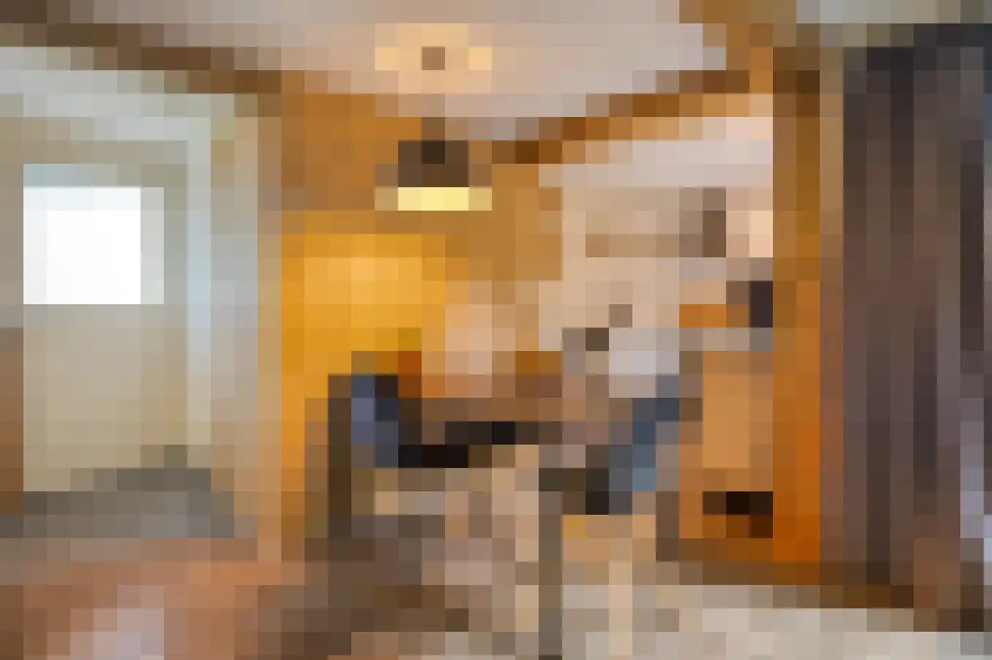 Vijverweg 16 51 Nieuwe Niedorp thumbnail 7