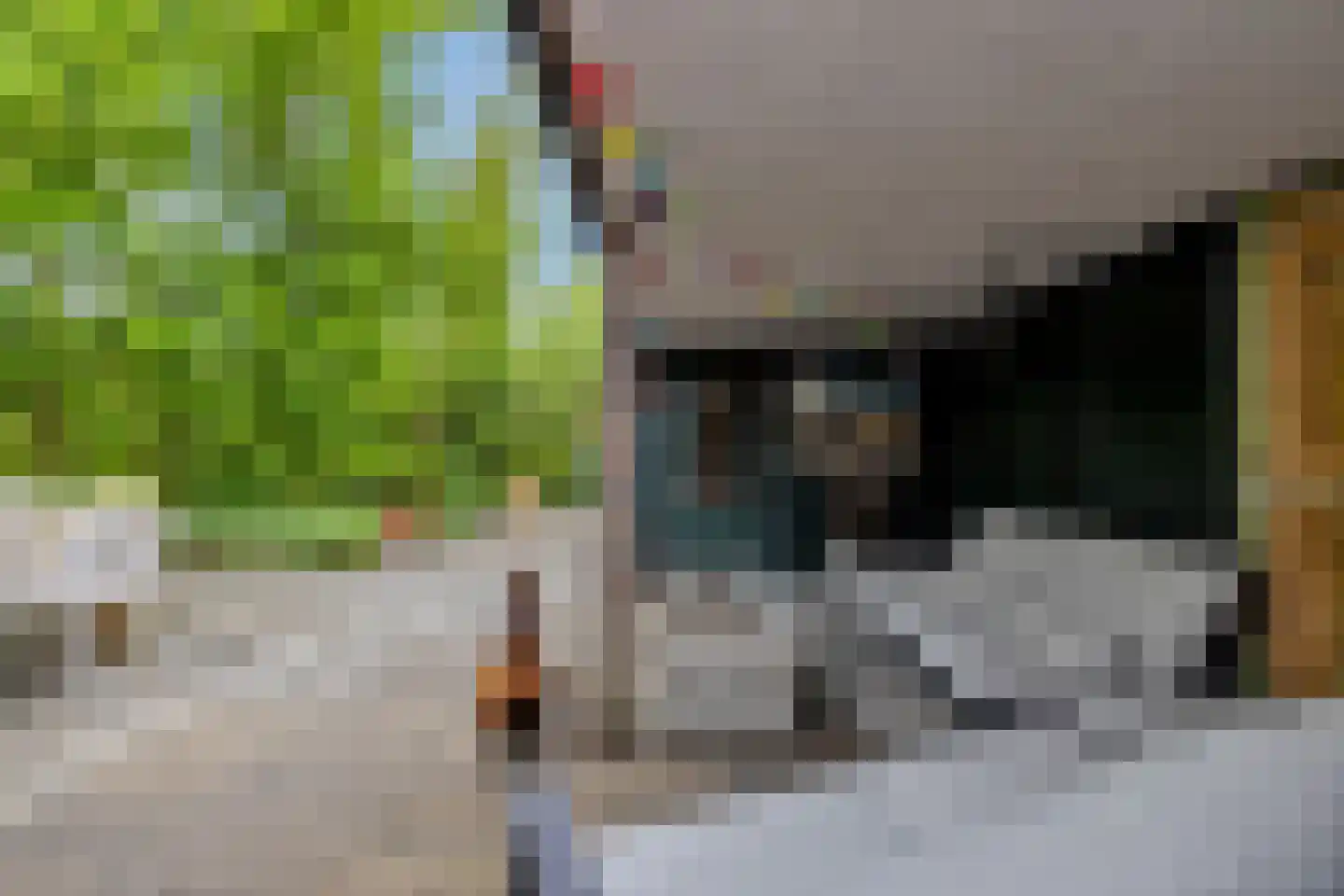 Vijverweg 16 66 Nieuwe Niedorp thumbnail 29
