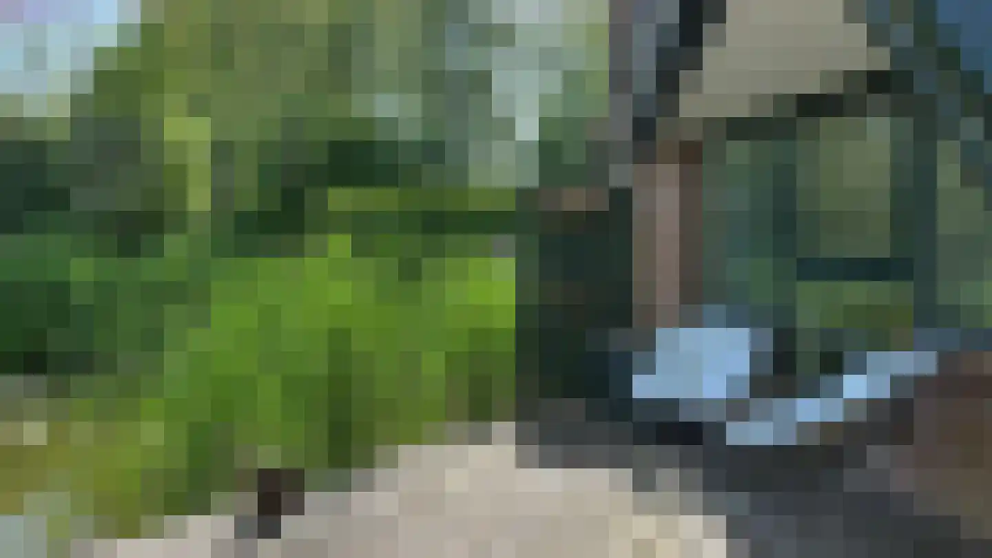 Vijverweg 16 73 Nieuwe Niedorp thumbnail 11