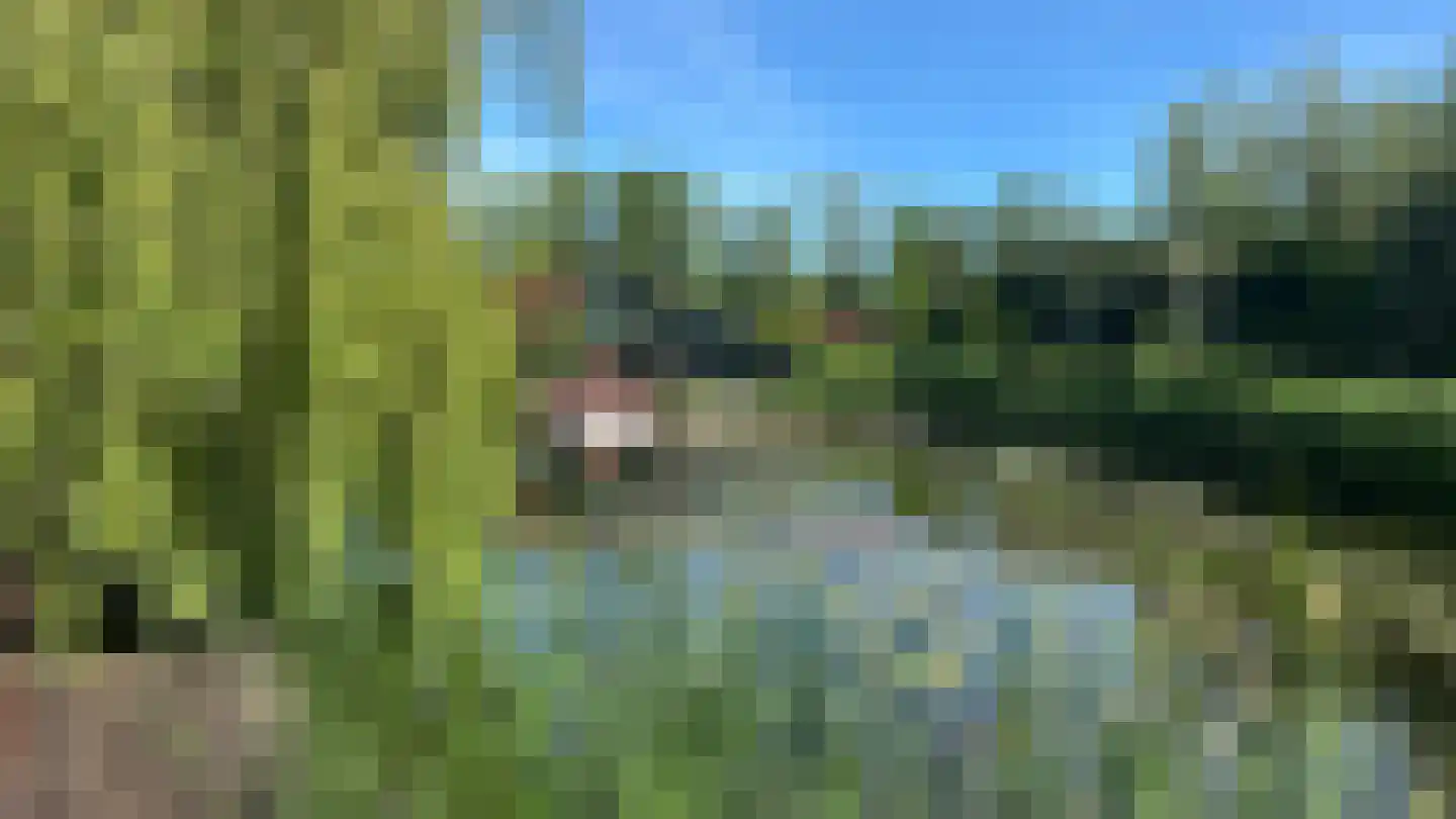 Vijverweg 16 73 Nieuwe Niedorp thumbnail 30