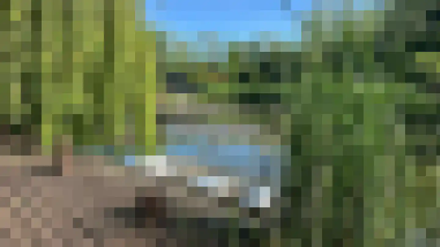 Vijverweg 16 73 Nieuwe Niedorp thumbnail 7