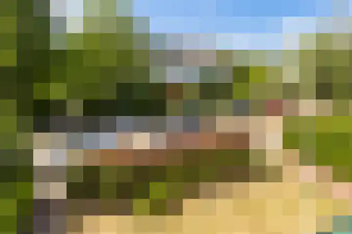 Vijverweg 16 Dordrecht thumbnail 33