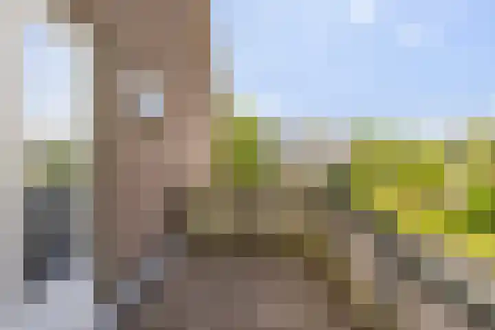 Vijverweg 16 Dordrecht thumbnail 38