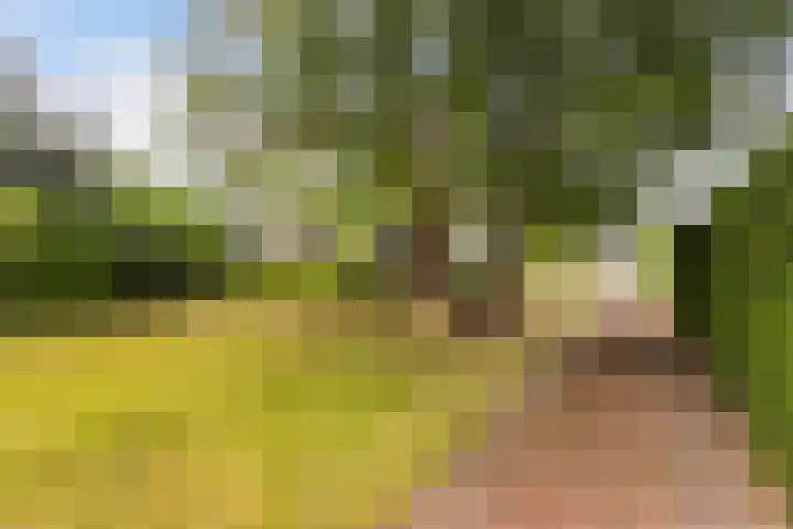 Vijverweg 16 Dordrecht thumbnail 4