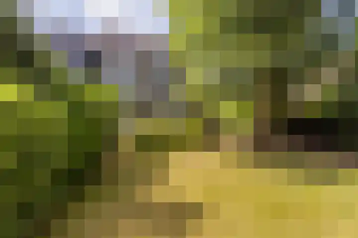 Vijverweg 16 Dordrecht thumbnail 58