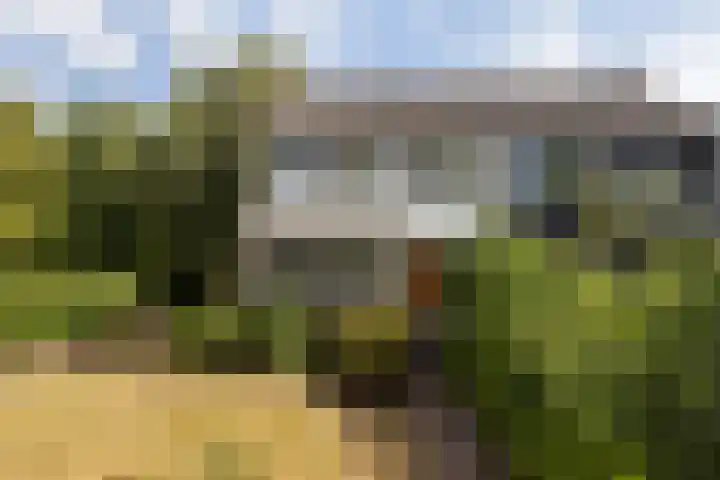 Vijverweg 16 Dordrecht thumbnail 6