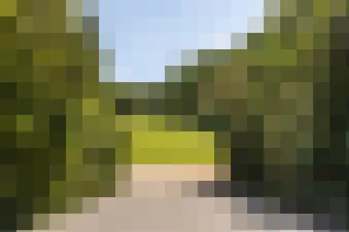 Vijverweg 16 Dordrecht thumbnail 64