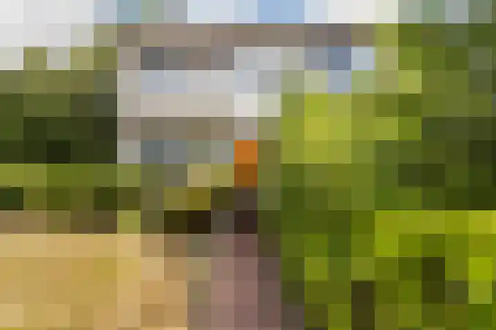 Vijverweg 16 Dordrecht thumbnail 7