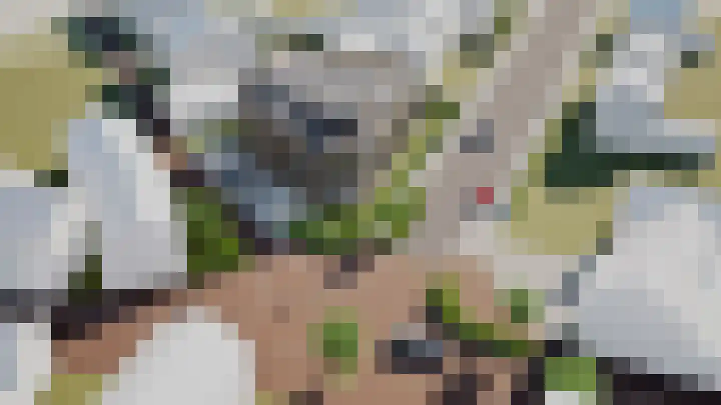 Vijverweg 2 Herkenbosch thumbnail 7
