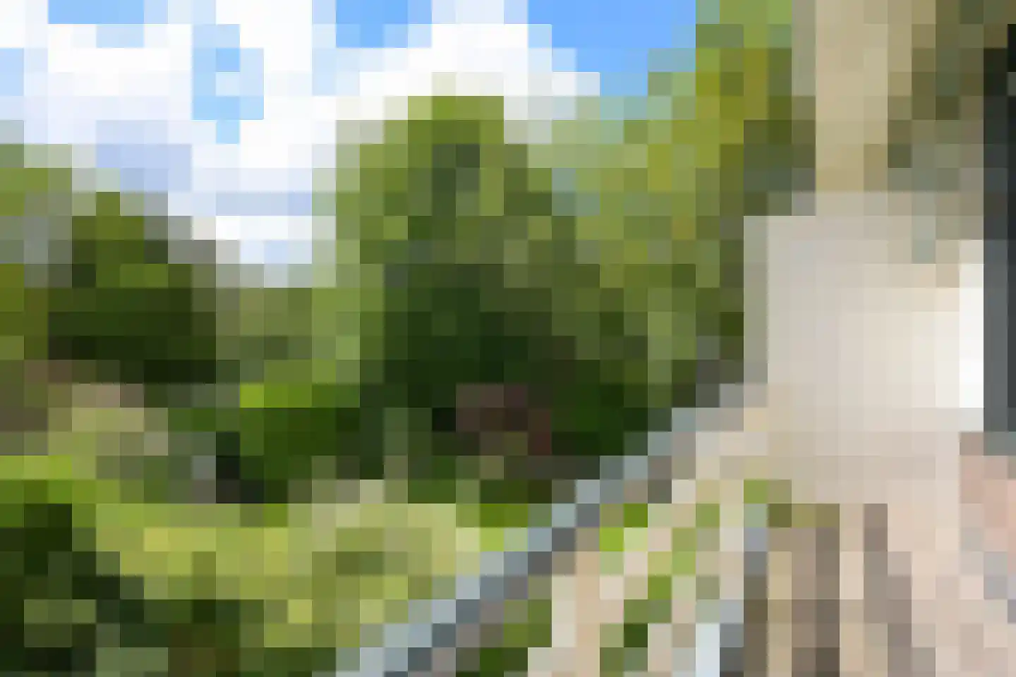Vijverweg 23 Wassenaar thumbnail 27