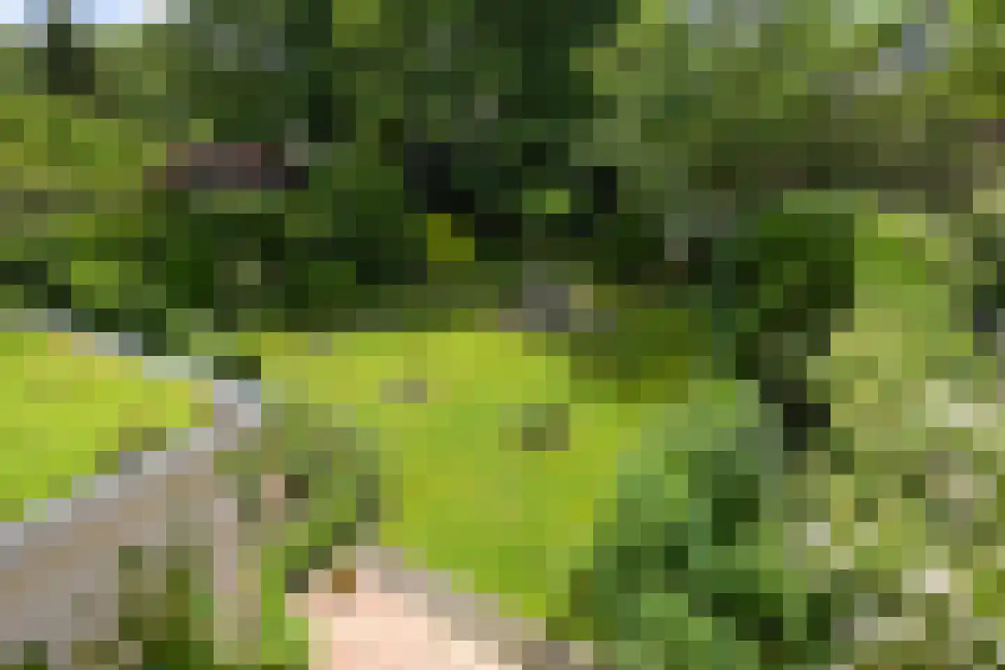 Vijverweg 23 Wassenaar thumbnail 28