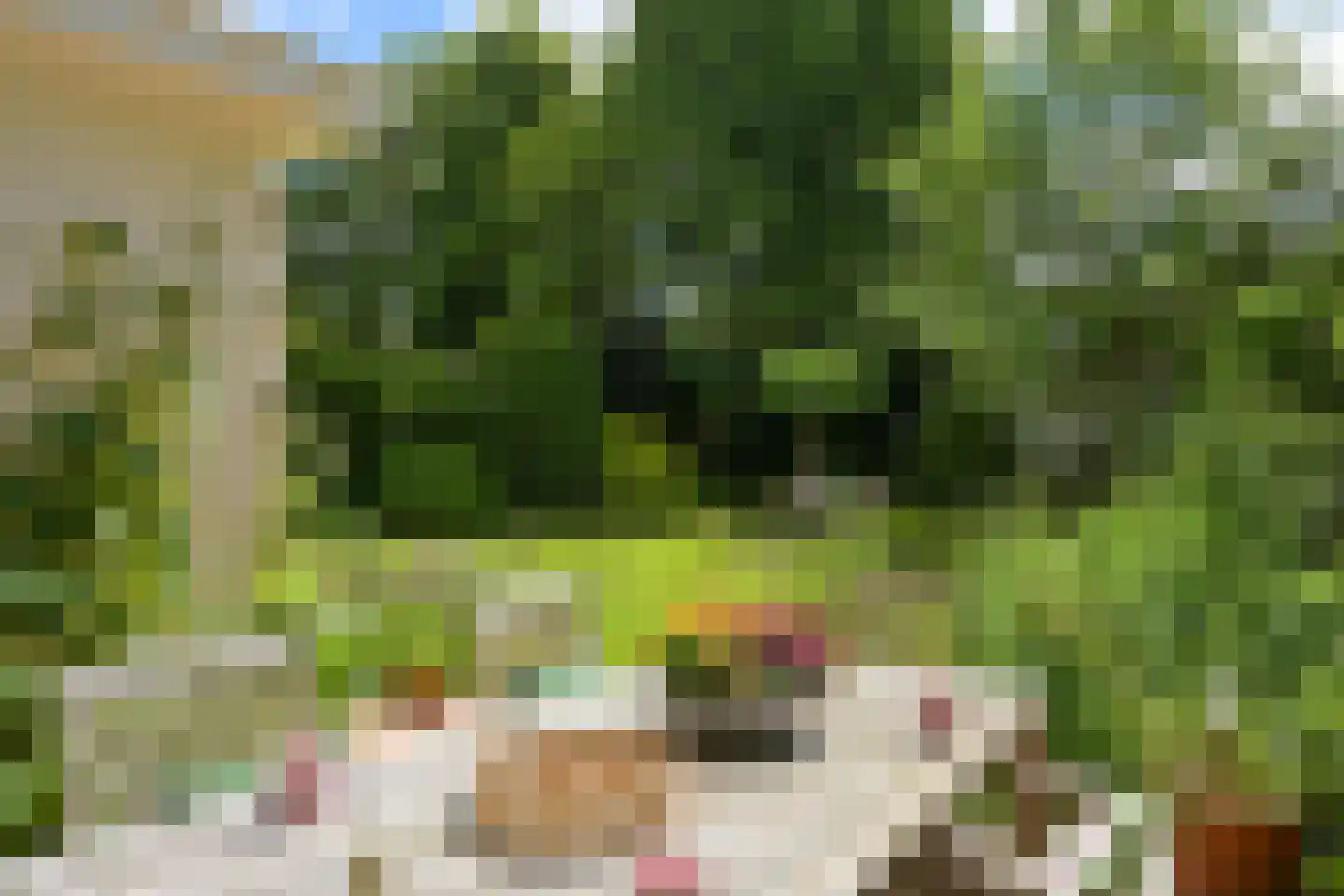 Vijverweg 23 Wassenaar thumbnail 29