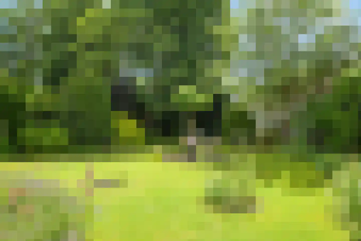Vijverweg 23 Wassenaar thumbnail 33