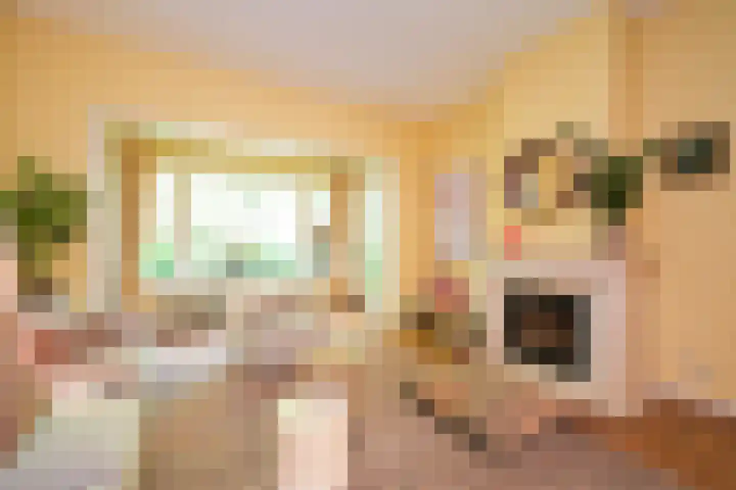 Vijverweg 23 Wassenaar thumbnail 6