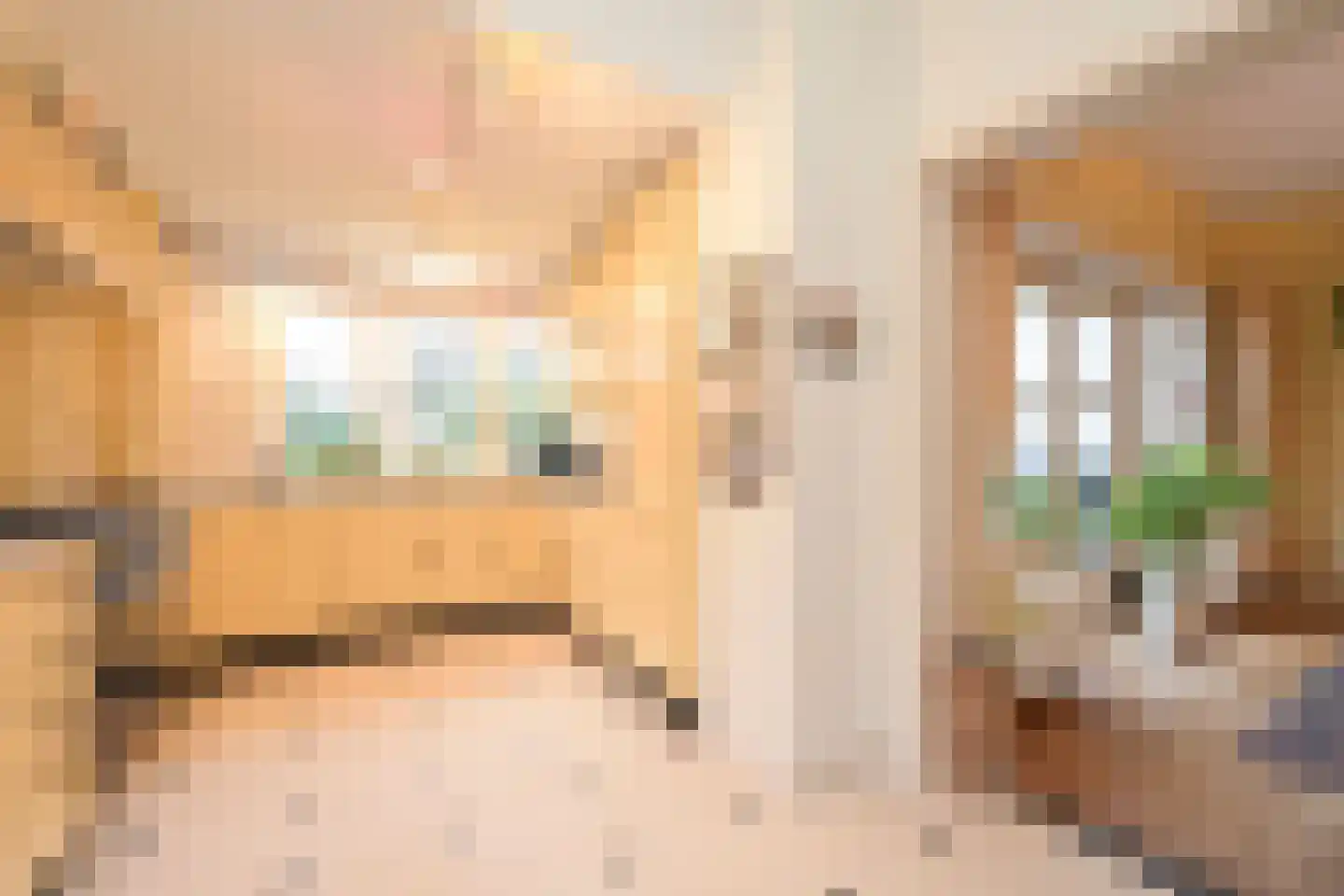 Vijverweg 23 Wassenaar thumbnail 7