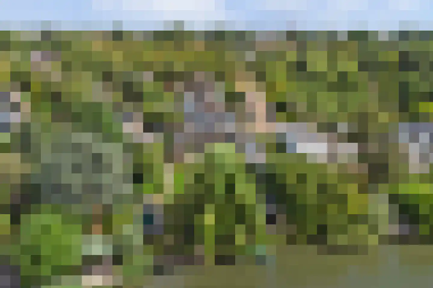 Vijverweg 25 Dordrecht thumbnail 4