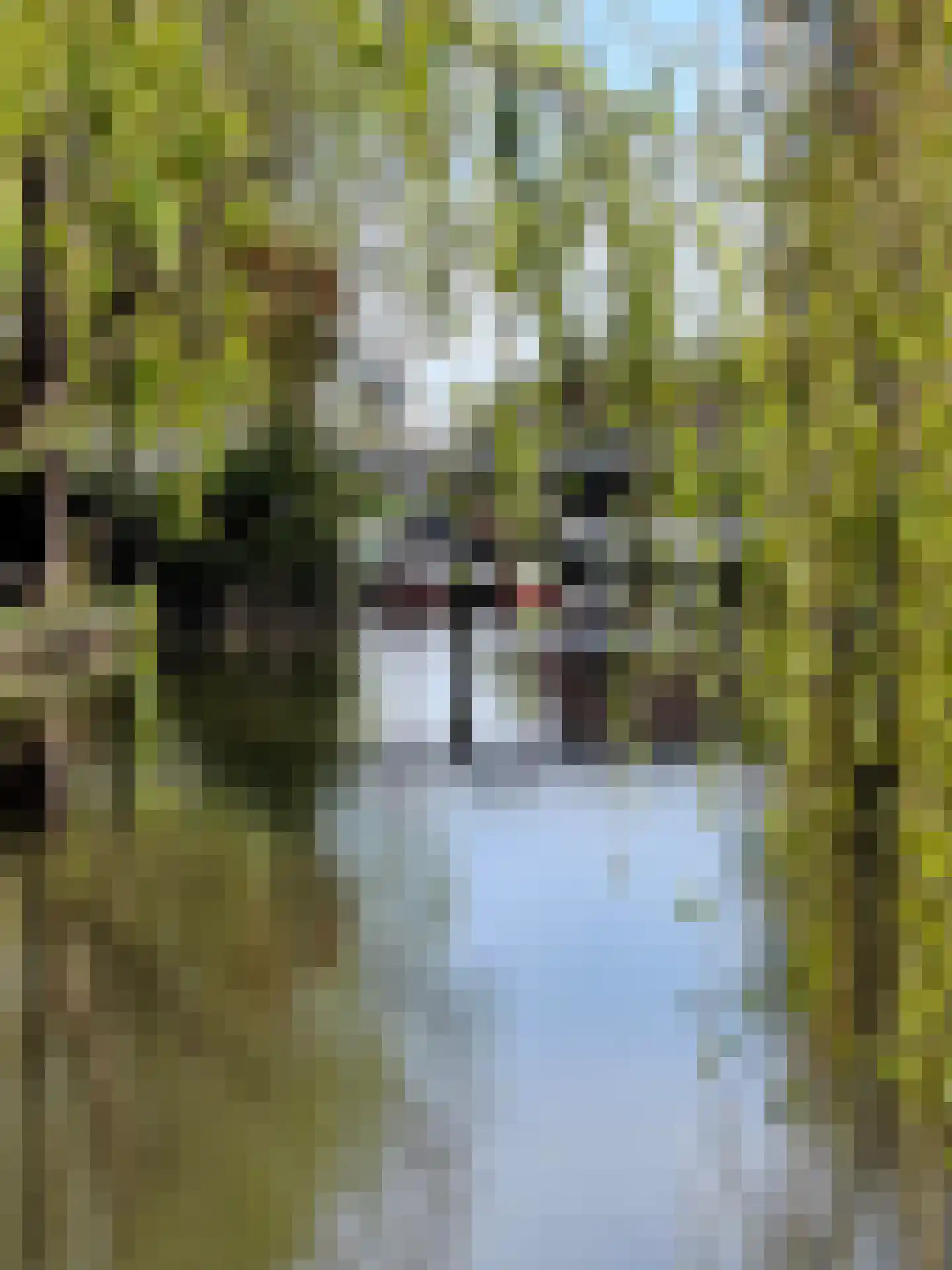 Vijverweg 25 Dordrecht thumbnail 62