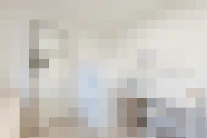 Vijverweg 3 de Wijk thumbnail 35