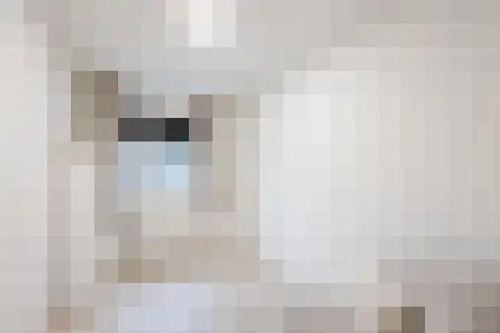 Vijverweg 3 de Wijk thumbnail 36