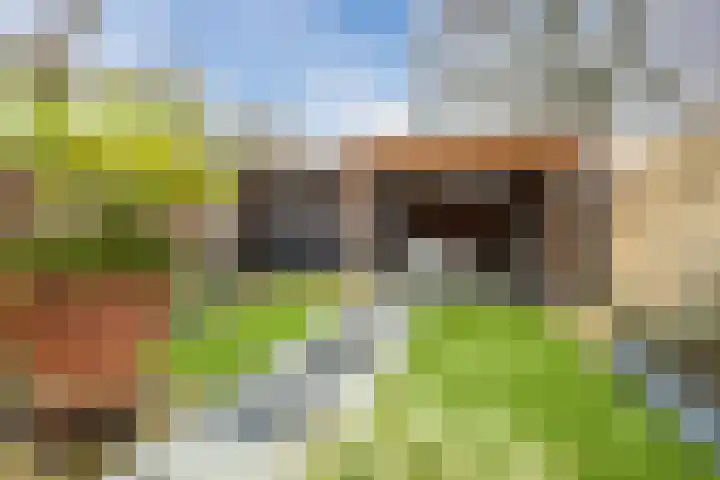 Vijverweg 3 de Wijk thumbnail 41