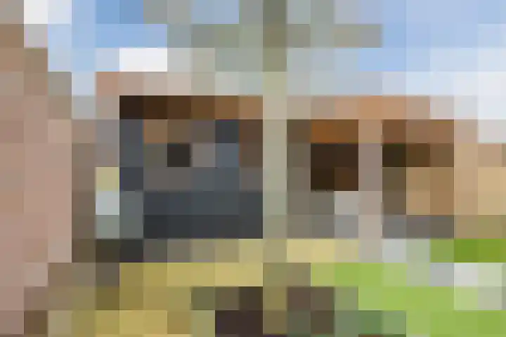 Vijverweg 3 de Wijk thumbnail 43