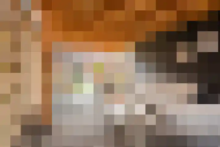 Vijverweg 3 de Wijk thumbnail 44