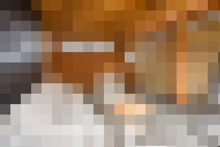 Vijverweg 3 de Wijk thumbnail 45