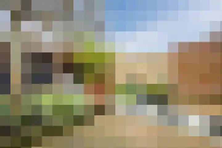 Vijverweg 3 de Wijk thumbnail 47