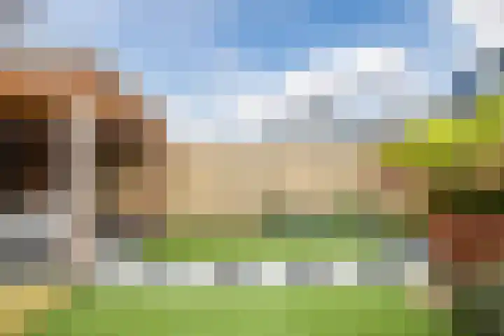 Vijverweg 3 de Wijk thumbnail 48