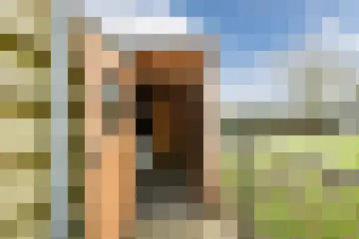 Vijverweg 3 de Wijk thumbnail 50