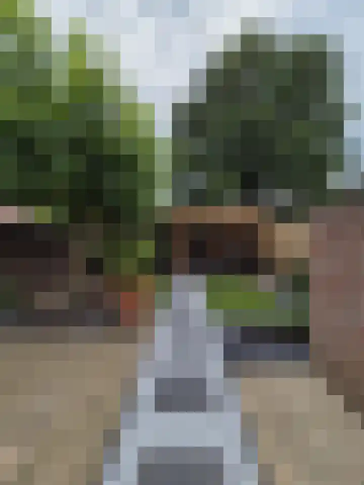 Vijverweg 3 de Wijk thumbnail 52