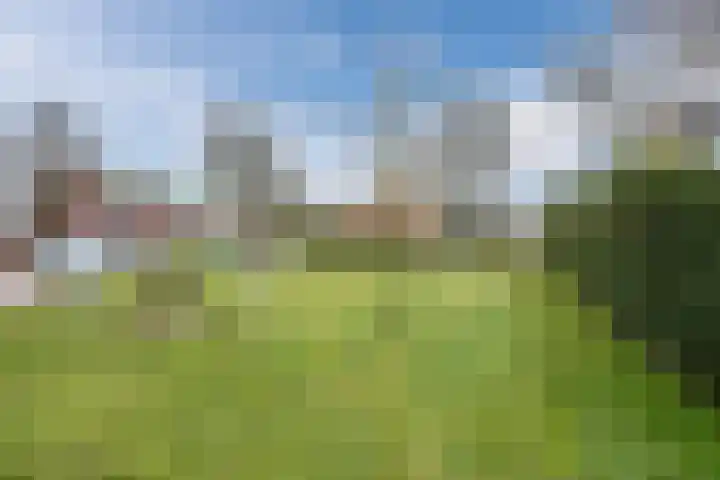 Vijverweg 3 de Wijk thumbnail 55
