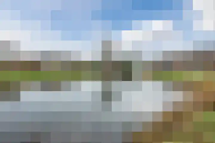 Vijverweg 3 de Wijk thumbnail 56