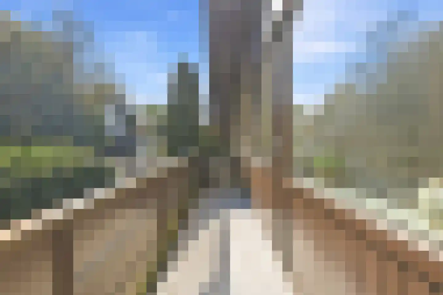 Vijverweg 3 Wassenaar thumbnail 28