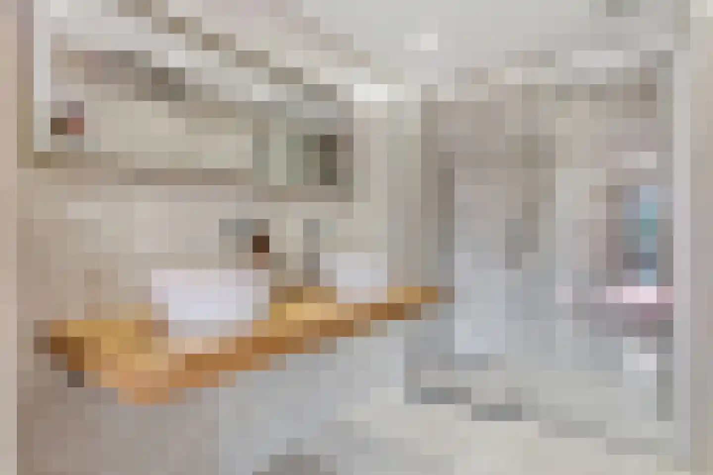 Vijverweg 3 Wassenaar thumbnail 33