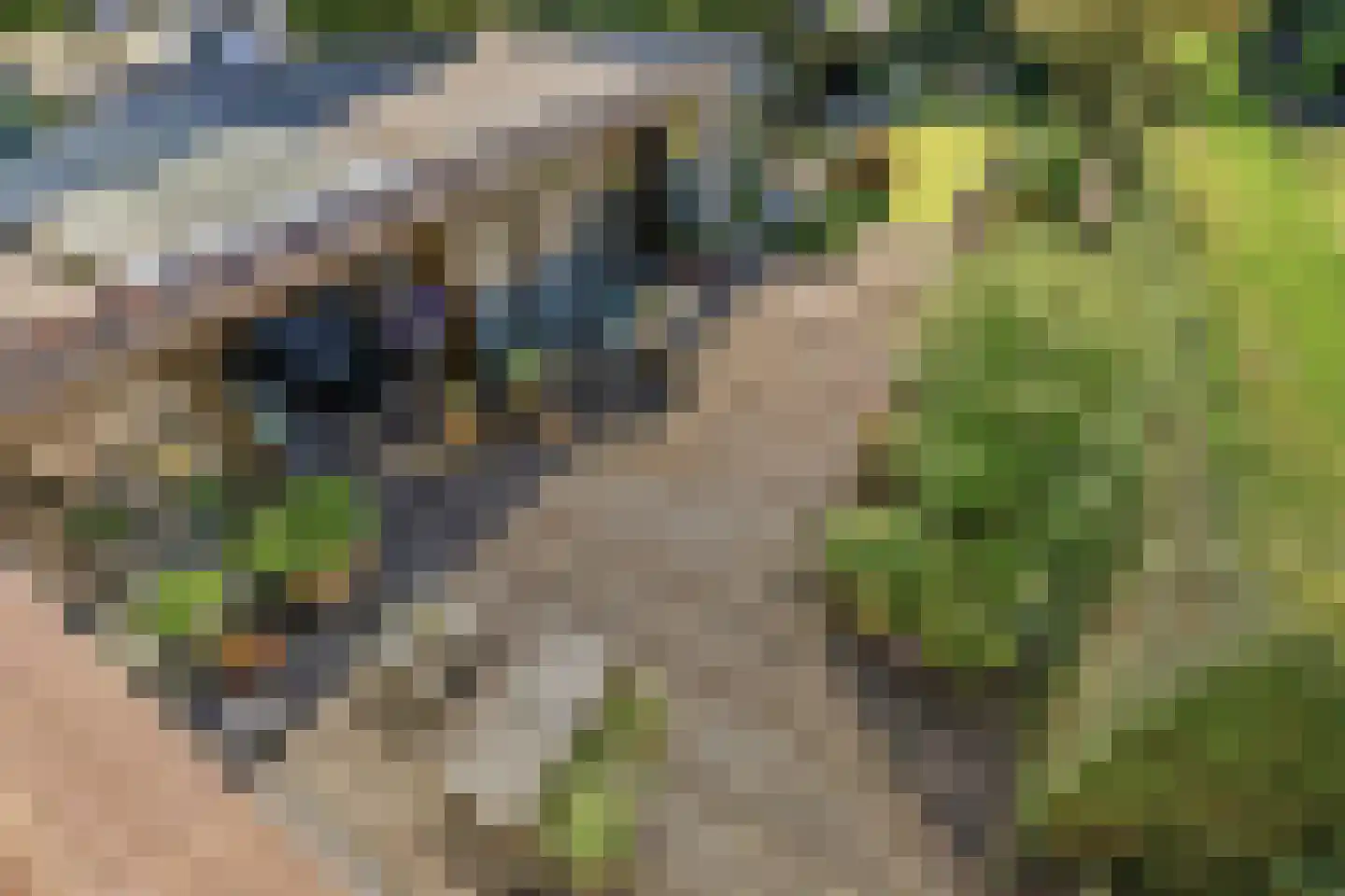 Vijverweg 3 Wassenaar thumbnail 41