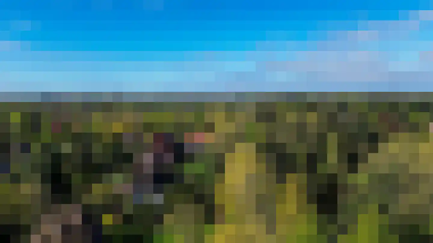 Vijverweg 3 Wassenaar thumbnail 56