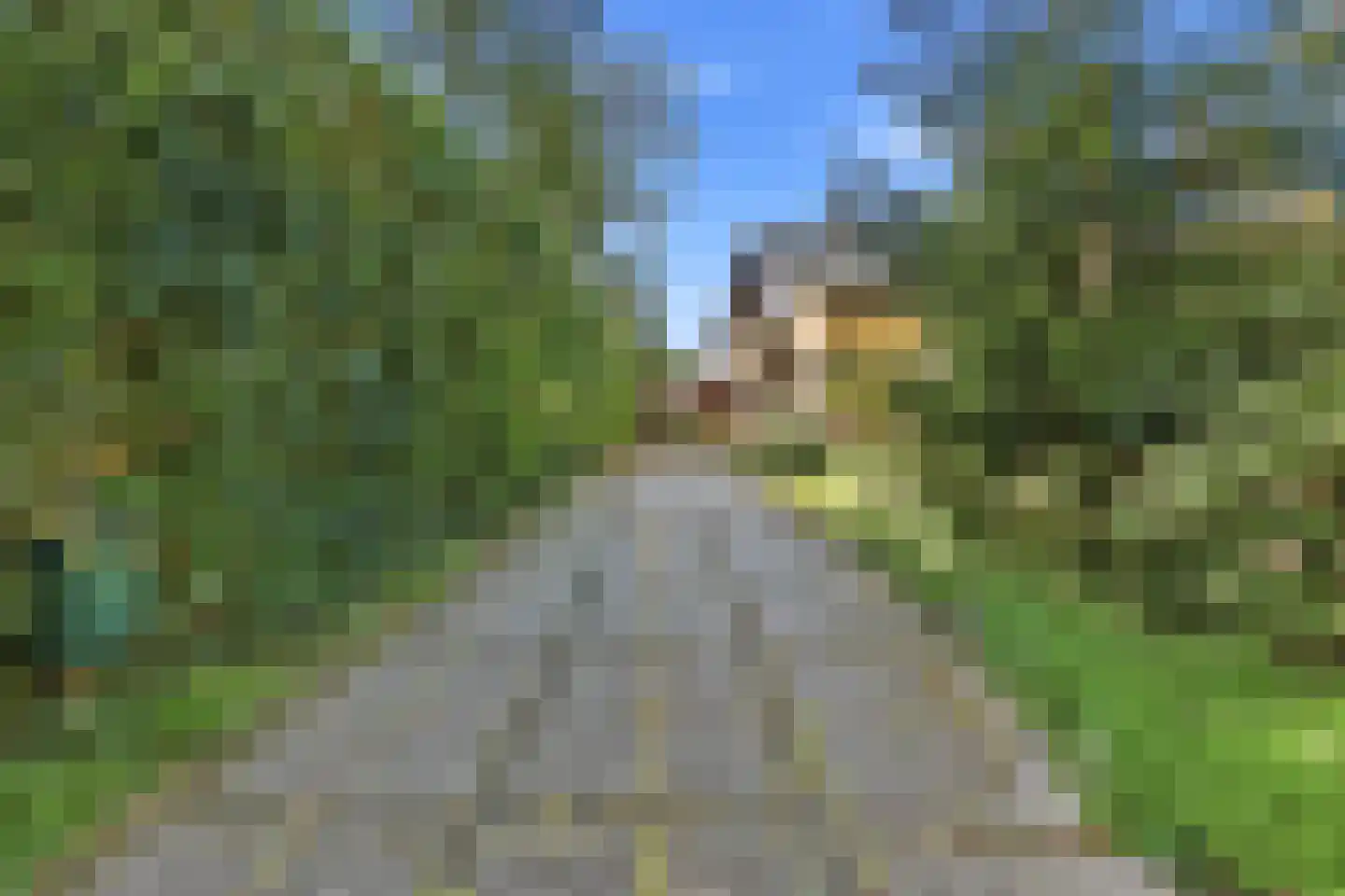 Vijverweg 3 Wassenaar thumbnail 7