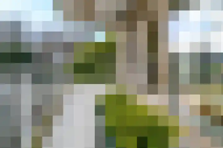 Vijverweg 32 Bloemendaal thumbnail 27