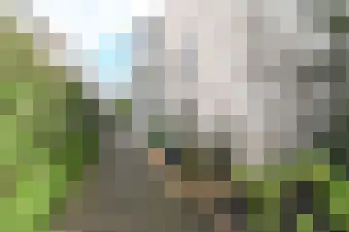 Vijverweg 32 Bloemendaal thumbnail 37