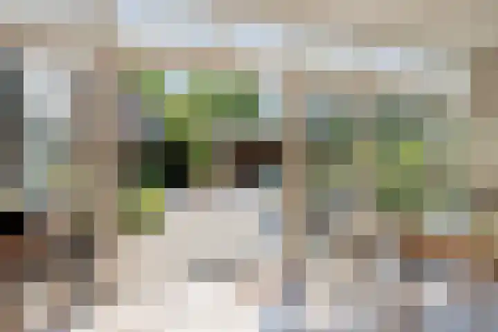 Vijverweg 33 Dordrecht thumbnail 4