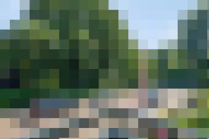Vijverweg 33 Dordrecht thumbnail 40