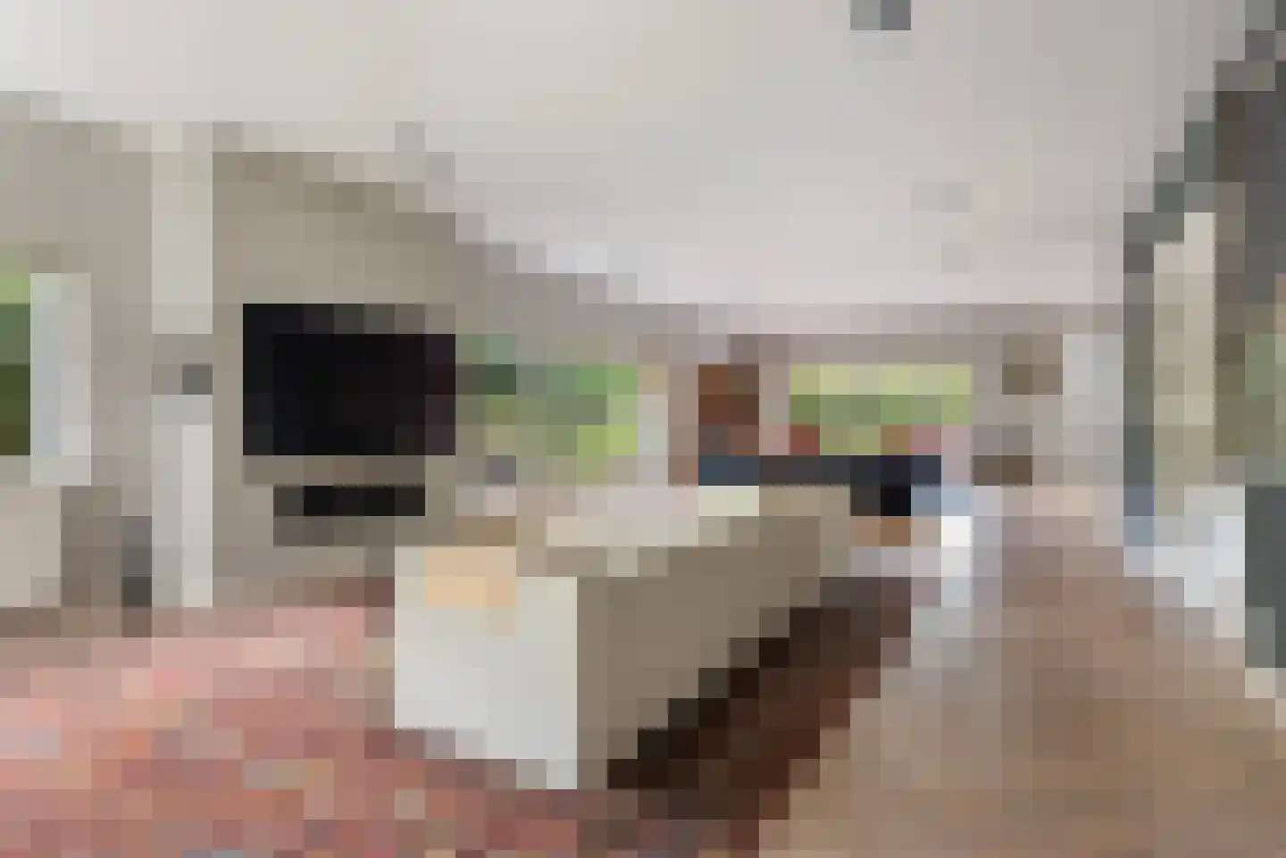 Vijverweg 4 Wassenaar thumbnail 14