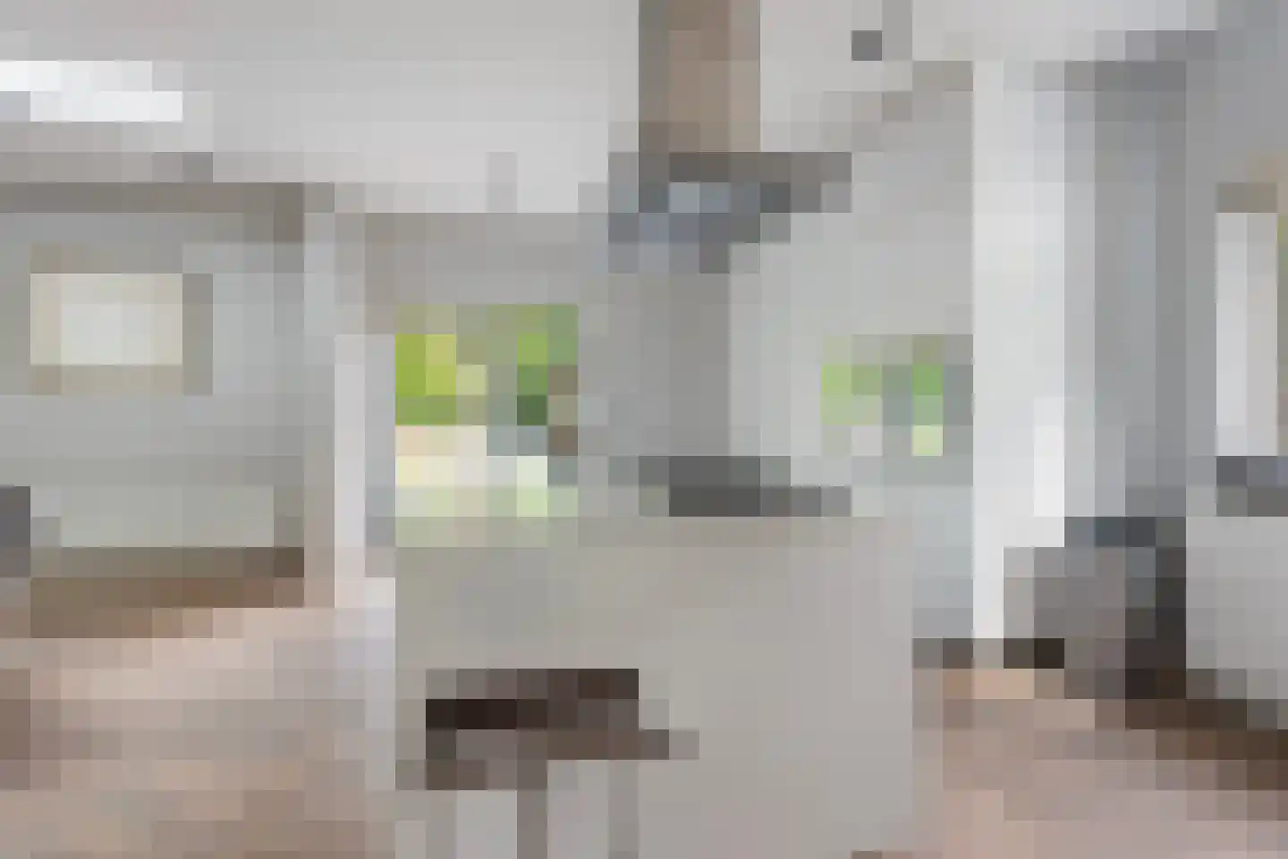 Vijverweg 4 Wassenaar thumbnail 18